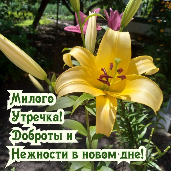 Друзья!