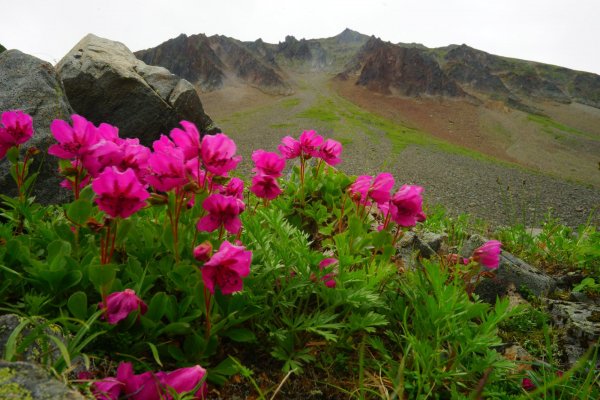 Камчатка