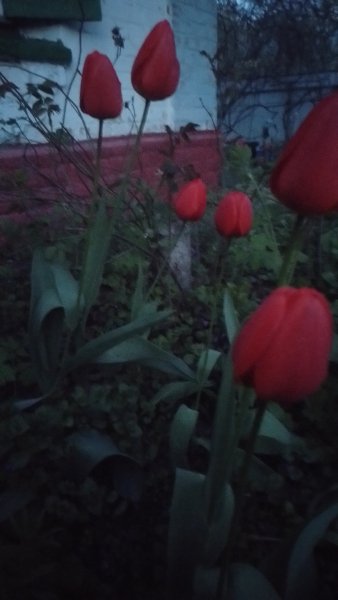 picture_411543329