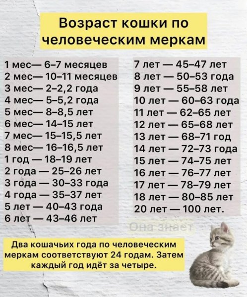 Это интересно