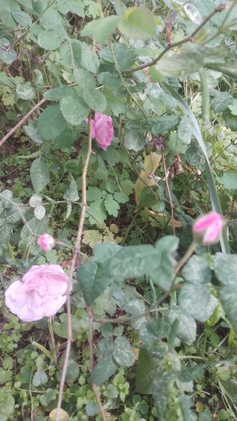 picture_413433841