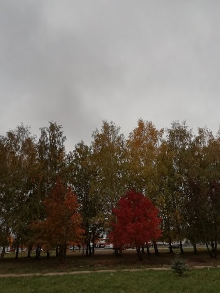 IMG 20211002 144422