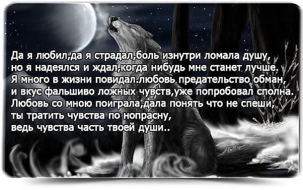 image (3)