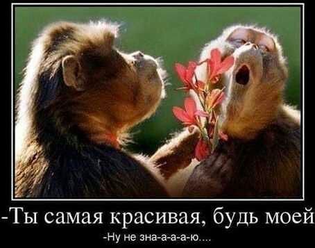 image (1)