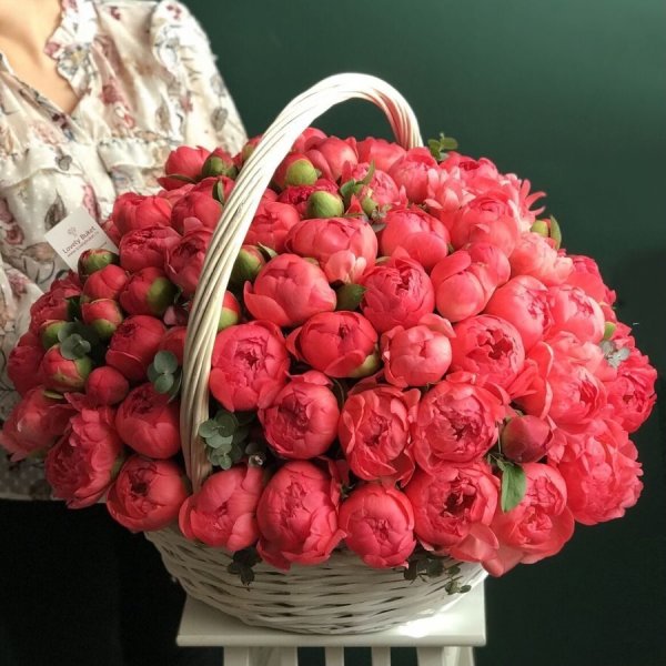Цветы18