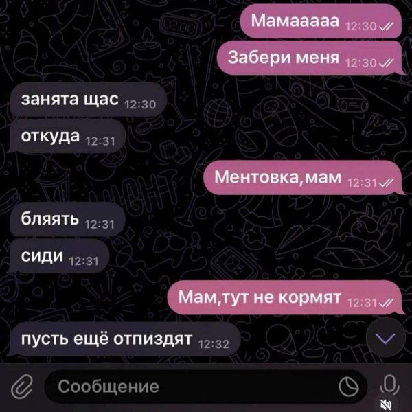 IMG 20260727 450