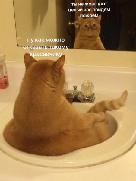 Красавчик)