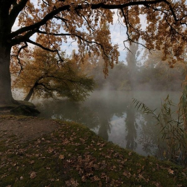 picture_413630009