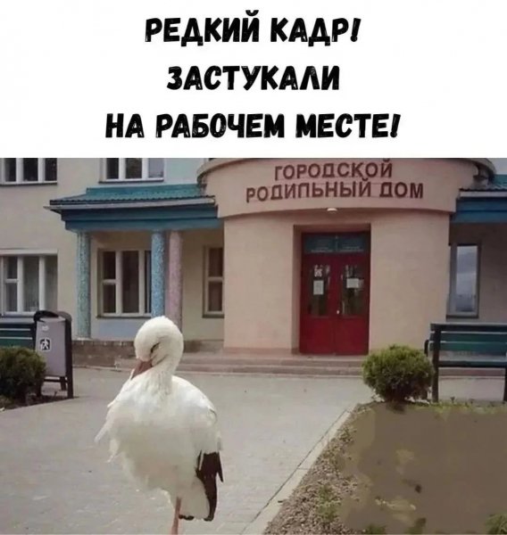 p.1200.1200.0