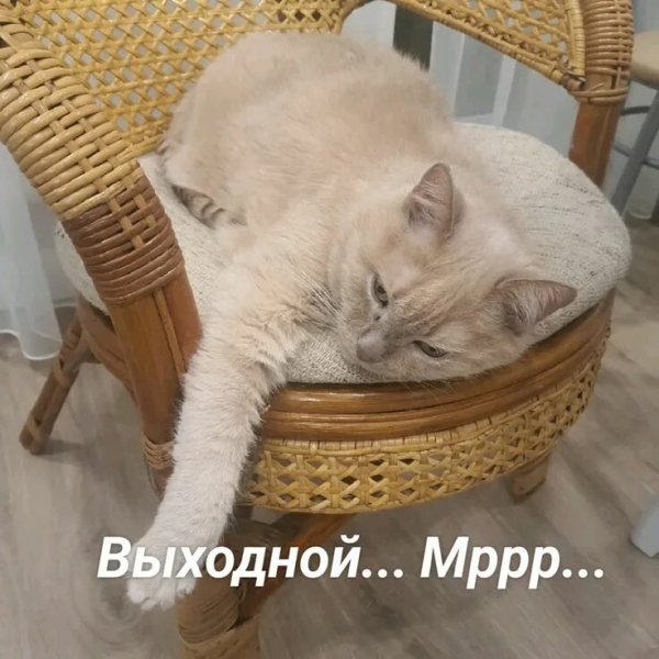 Выходной...
