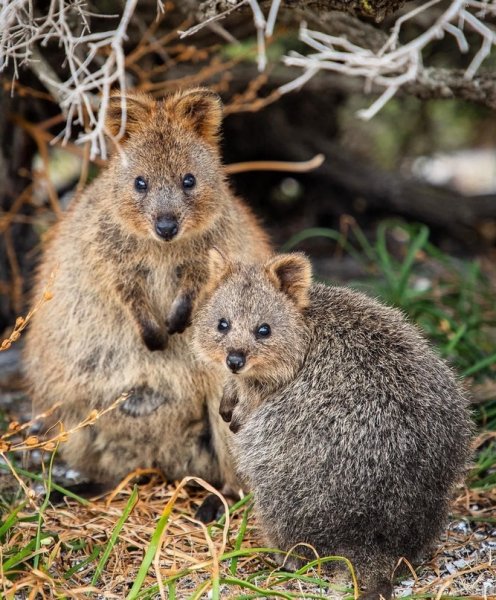 picture_228798175