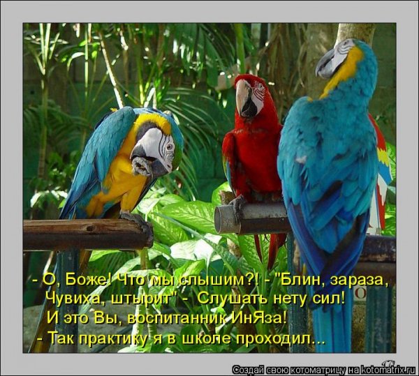 О, Боже!