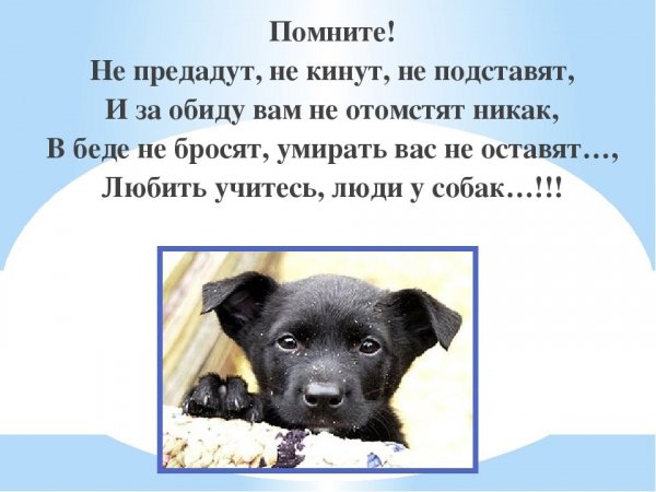 Помните!