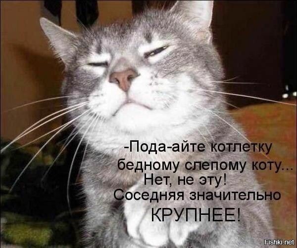 ))