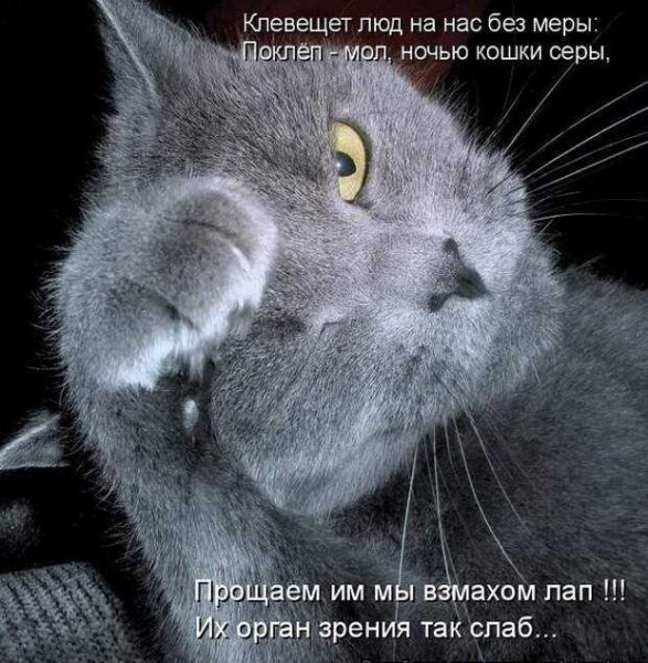 Прощаем...