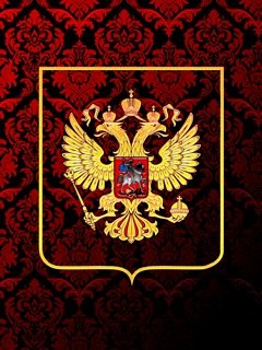 RUSSIA EAGLE 240X320 460624