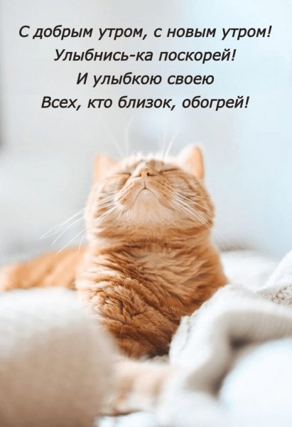 62fd7586171146699f7384bdabc35c4e