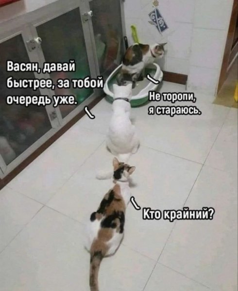 picture_416534070