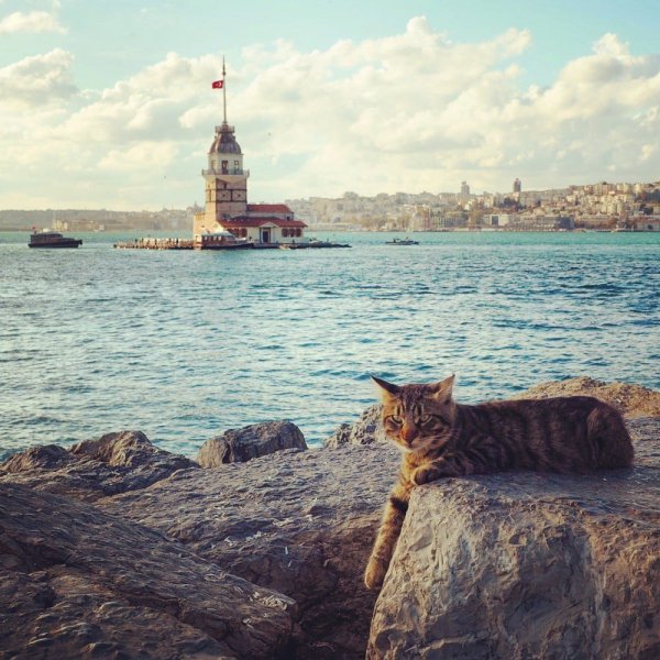 Лето, море и Стамбул!