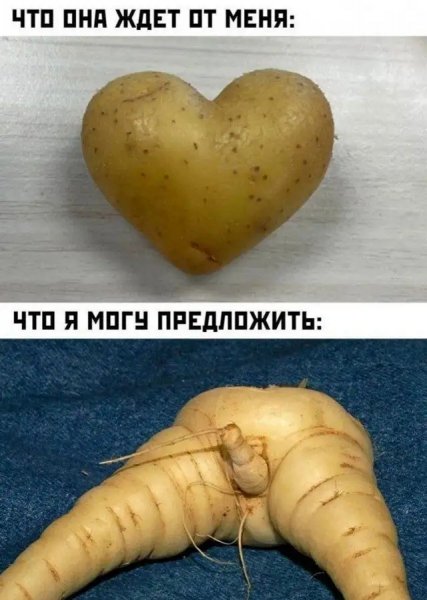 Любовь