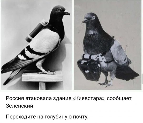 IMG 20260911 192315
