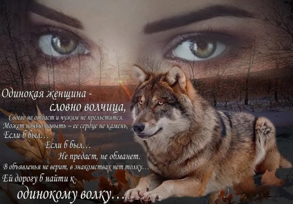 image (4)