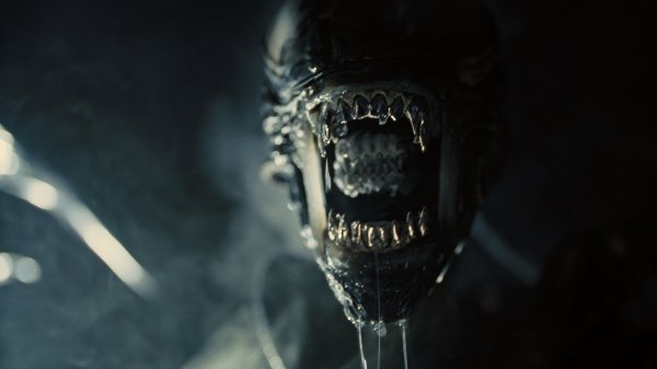 Alien-romulus-xenomorph-movie-4k-wallpaper