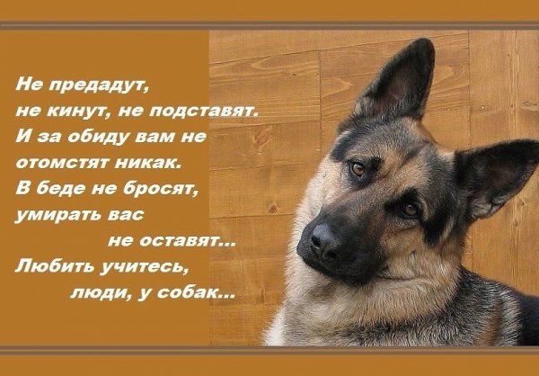 Так!