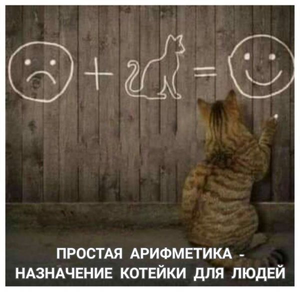 picture_388869699
