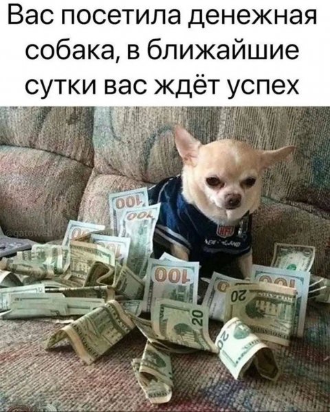 IMG 20250125 145501 379