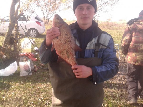 Лещь