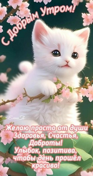 IMG 20260504 080329 867
