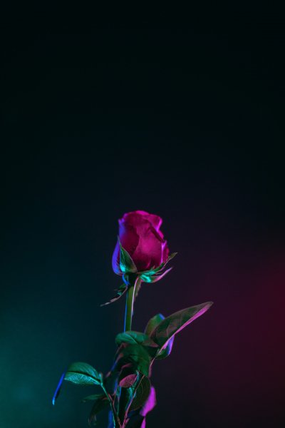 ZamanilkaRUS Wallpaper (706)