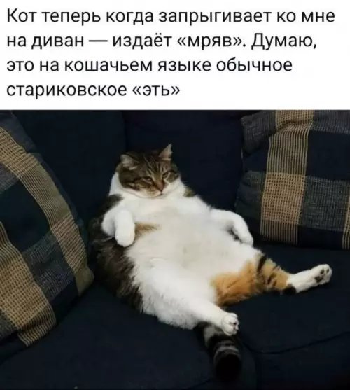 КотЭ)