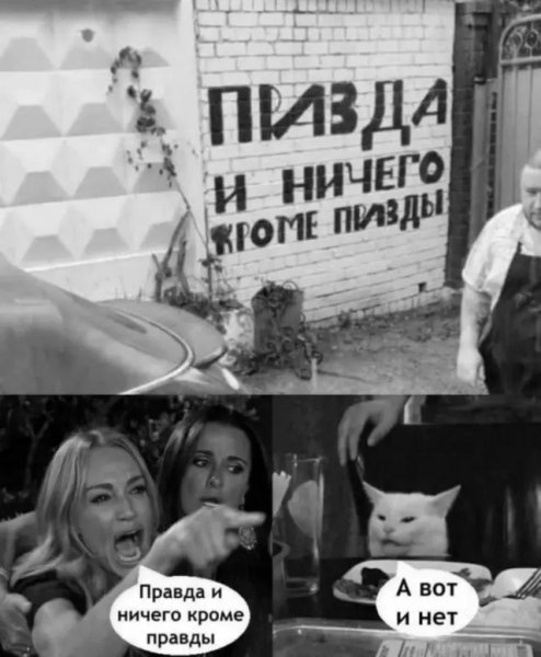 Smeshno-kartinkami-i-bez-lishnih-slov-10