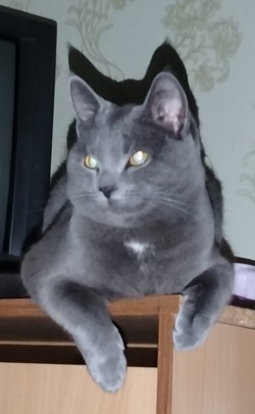 IMG 20241231 075806