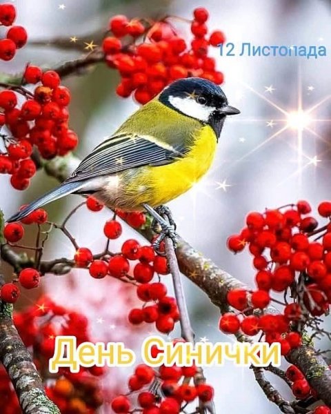 День Синички