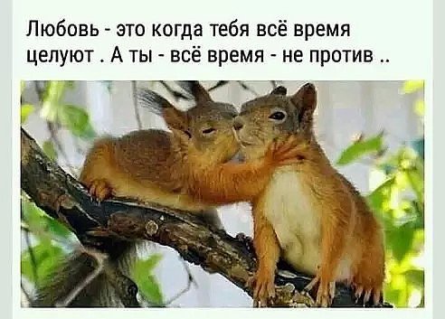 IMG 20180527 173458 0