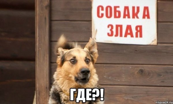 mE3eN9bJu-g