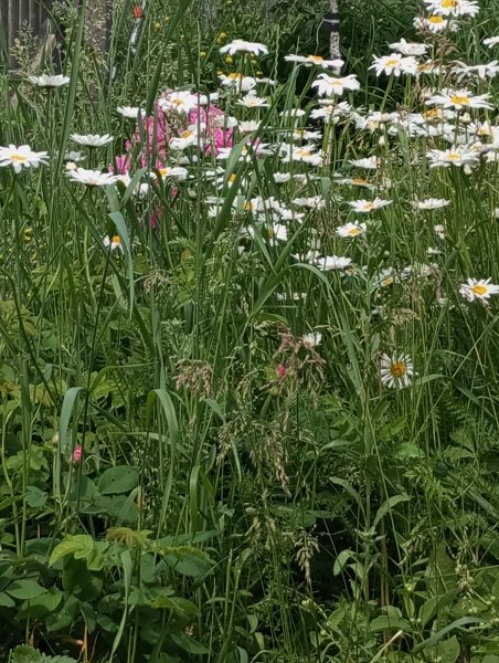 picture_365080233