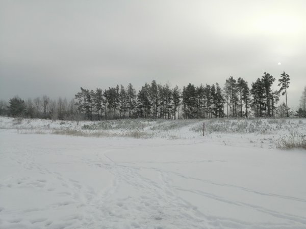 Зима