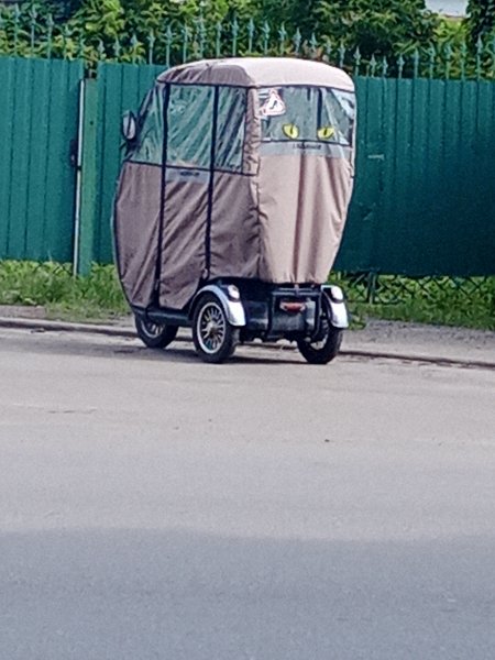 picture_390446384