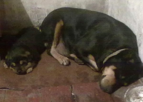picture_89652561