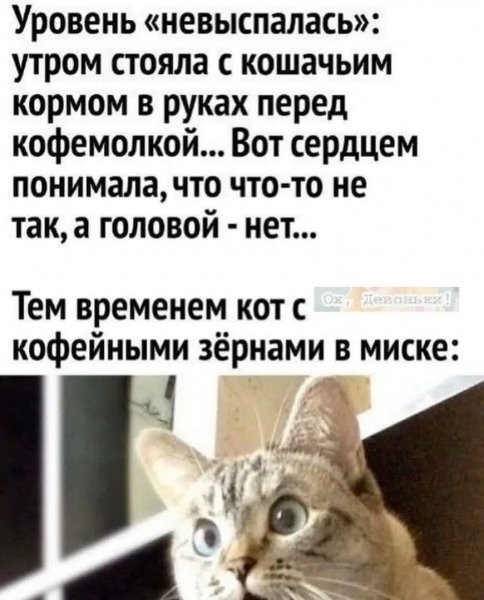 Уровень "невыспалась"....