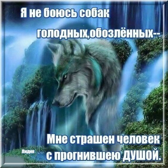 IMG 20200614 173131