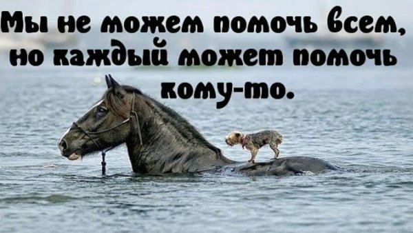 Добрые дела