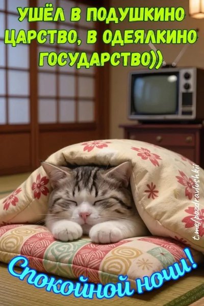 IMG 20260810 202936 062