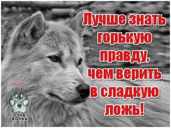 IMG 20180601 072525