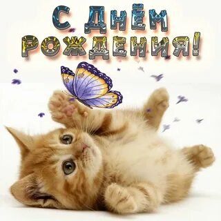 С днём рождения