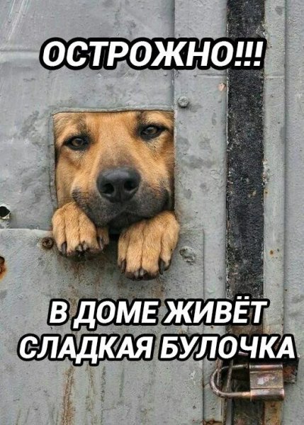Сладкая булочка